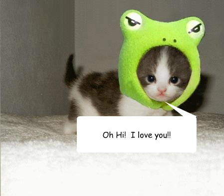 Oh Hi!  I love you!!  cute kitten