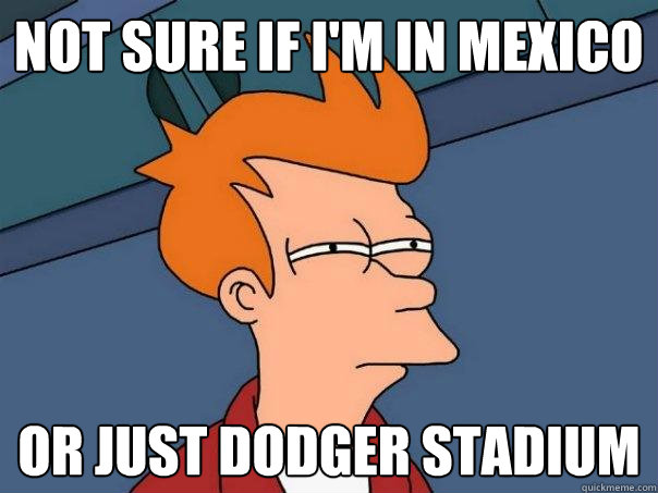 Not sure if I'm in Mexico Or just Dodger Stadium
  Futurama Fry
