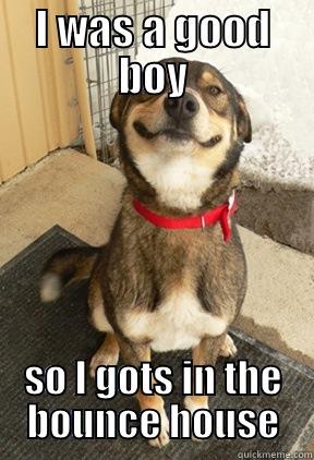 I WAS A GOOD BOY SO I GOTS IN THE BOUNCE HOUSE Good Dog Greg