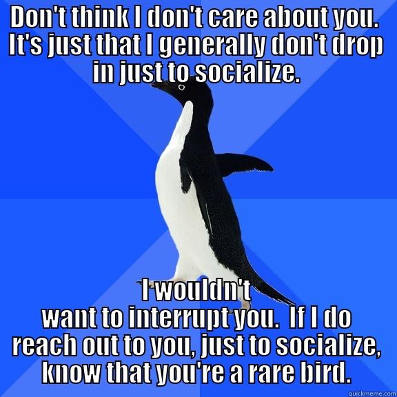 Don't Just Socialize - DON'T THINK I DON'T CARE ABOUT YOU.  IT'S JUST THAT I GENERALLY DON'T DROP IN JUST TO SOCIALIZE. I WOULDN'T WANT TO INTERRUPT YOU.  IF I DO REACH OUT TO YOU, JUST TO SOCIALIZE, KNOW THAT YOU'RE A RARE BIRD. Socially Awkward Penguin