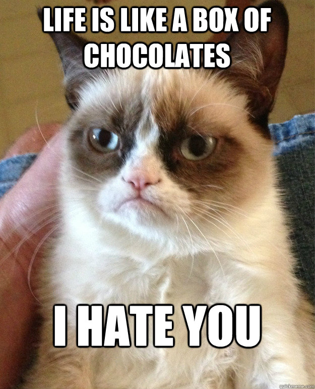Life is like a box of chocolates i hate you  Grumpy Cat