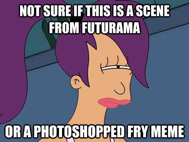 Not sure if this is a scene from futurama or a photoshopped fry meme  Leela Futurama