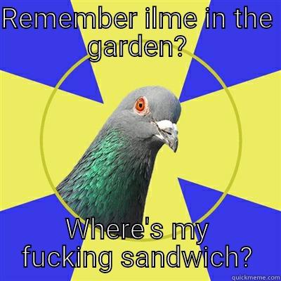 REMEMBER ILME IN THE GARDEN? WHERE'S MY FUCKING SANDWICH? Religion Pigeon