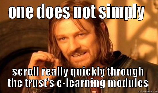 ONE DOES NOT SIMPLY  SCROLL REALLY QUICKLY THROUGH THE TRUST'S E-LEARNING MODULES Boromir