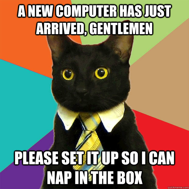 A new computer has just arrived, gentlemen Please set it up so I can nap in the box  Business Cat