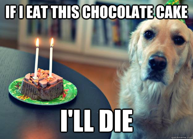If I eat this chocolate cake I'll die  Sad Birthday Dog