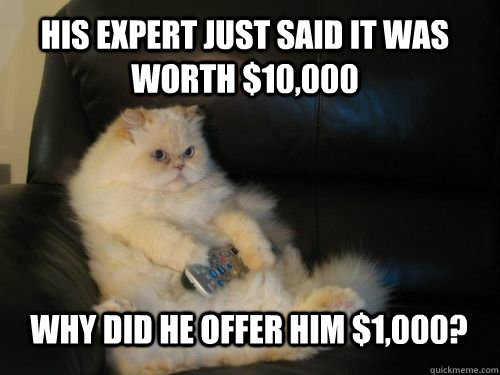 His expert just said it was worth $10,000 Why did he offer him $1,000?  Disapproving TV Cat