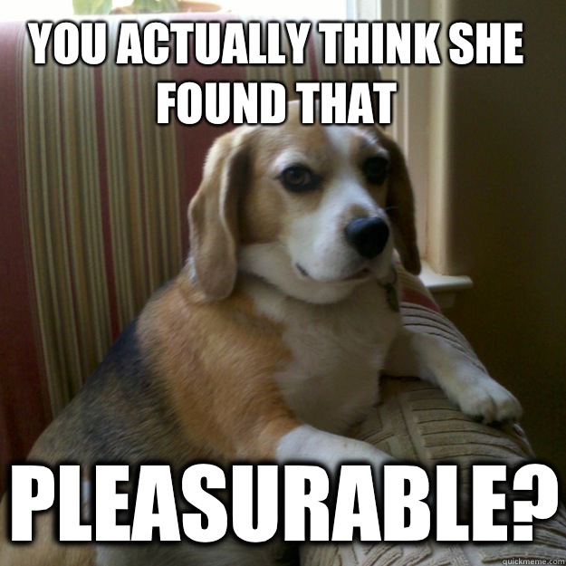 You actually think she found that Pleasurable?  judgmental dog