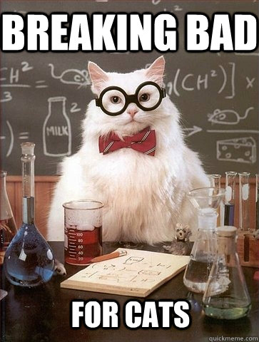 Breaking bad for cats - Breaking bad for cats  Chemistry Cat