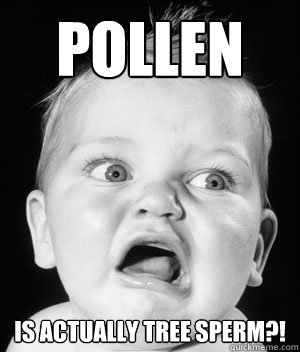 Pollen Is actually tree sperm?! - Pollen Is actually tree sperm?!  Disgusted Baby