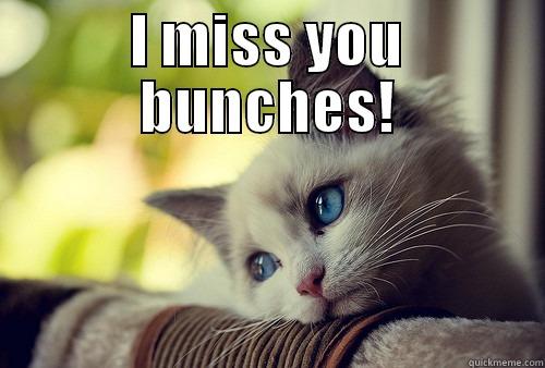 Missing you. - I MISS YOU BUNCHES!  First World Problems Cat