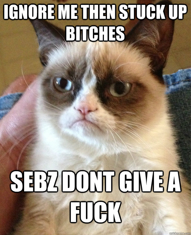 Ignore me then stuck up bitches SeBz dont give a fuck  Grumpy Cat