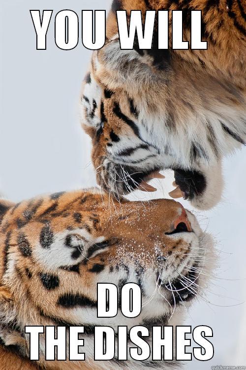 YOU WILL DO THE DISHES Misc