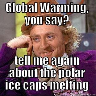 GLOBAL WARMING, YOU SAY? TELL ME AGAIN ABOUT THE POLAR ICE CAPS MELTING Condescending Wonka