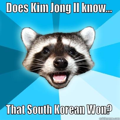 DOES KIM JONG IL KNOW... THAT SOUTH KOREAN WON? Lame Pun Coon