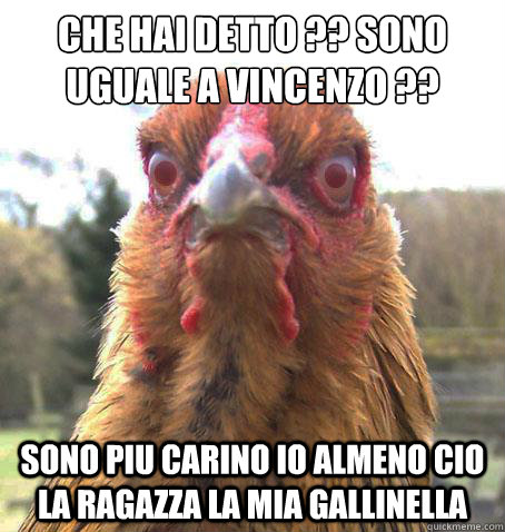 CHE HAI DETTO ?? SONO UGUALE A VINCENZO ?? SONO PIU CARINO IO ALMENO CIO LA RAGAZZA LA MIA GALLINELLA   RageChicken