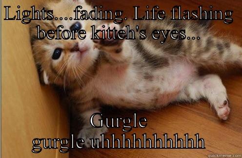 LIGHTS....FADING. LIFE FLASHING BEFORE KITTEH'S EYES... GURGLE GURGLE UHHHHHHHHHH Misc