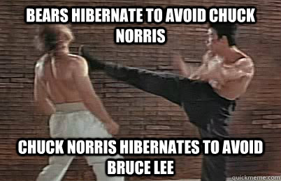 Bears hibernate to avoid chuck norris chuck norris hibernates to avoid bruce lee  Bruce Lee vs Chuck Norris