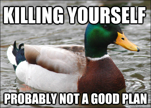 killing yourself probably not a good plan  Actual Advice Mallard