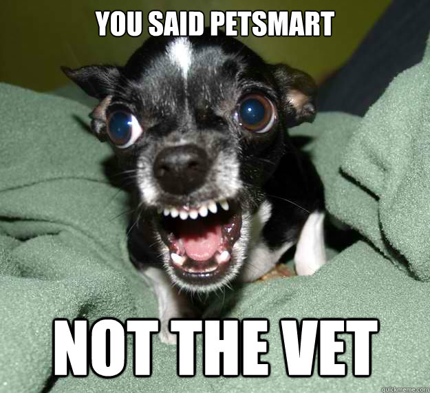 You said petsmart not the vet  Chihuahua Logic