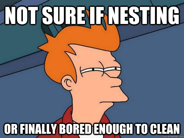 Not sure if nesting or finally bored enough to clean  FuturamaFry