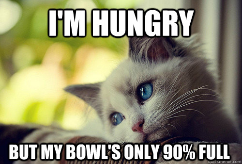 I'm hungry but my bowl's only 90% full  First World Problems Cat