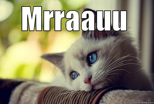 MRRAAUU  First World Problems Cat