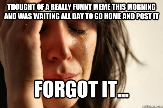 Thought of a really funny meme this morning and was waiting all day to go home and post it Forgot it...  First World Problems