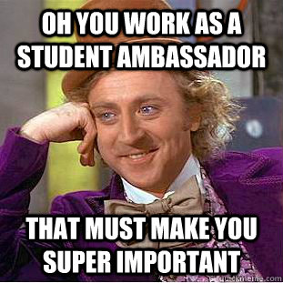 Oh you work as a student ambassador That must make you super important  Condescending Wonka
