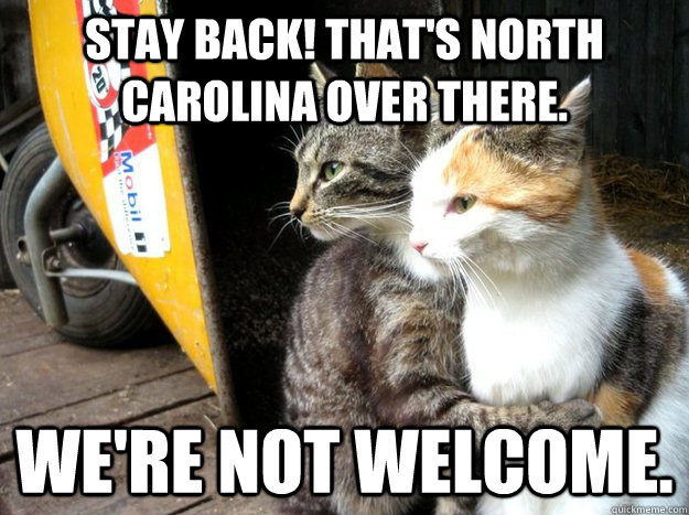 Stay back! That's North Carolina over there. We're not welcome.  Restraining Cat