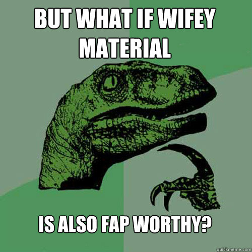 But what if wifey material Is also fap worthy?  Philosoraptor