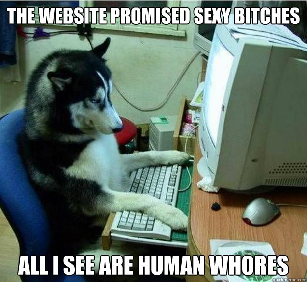 The Website Promised Sexy Bitches All I see are Human whores - The Website Promised Sexy Bitches All I see are Human whores  Disapproving Dog
