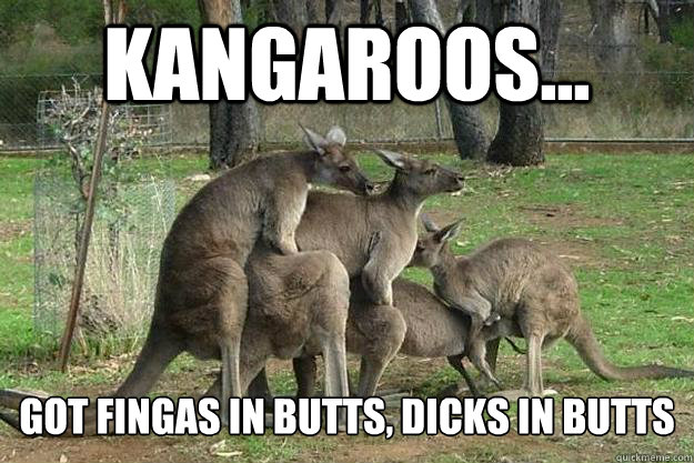 Kangaroos... Got fingas in butts, Dicks in Butts  Meanwhile in Australia