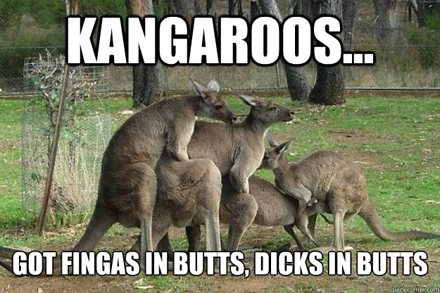 Kangaroos... Got fingas in butts, Dicks in Butts  