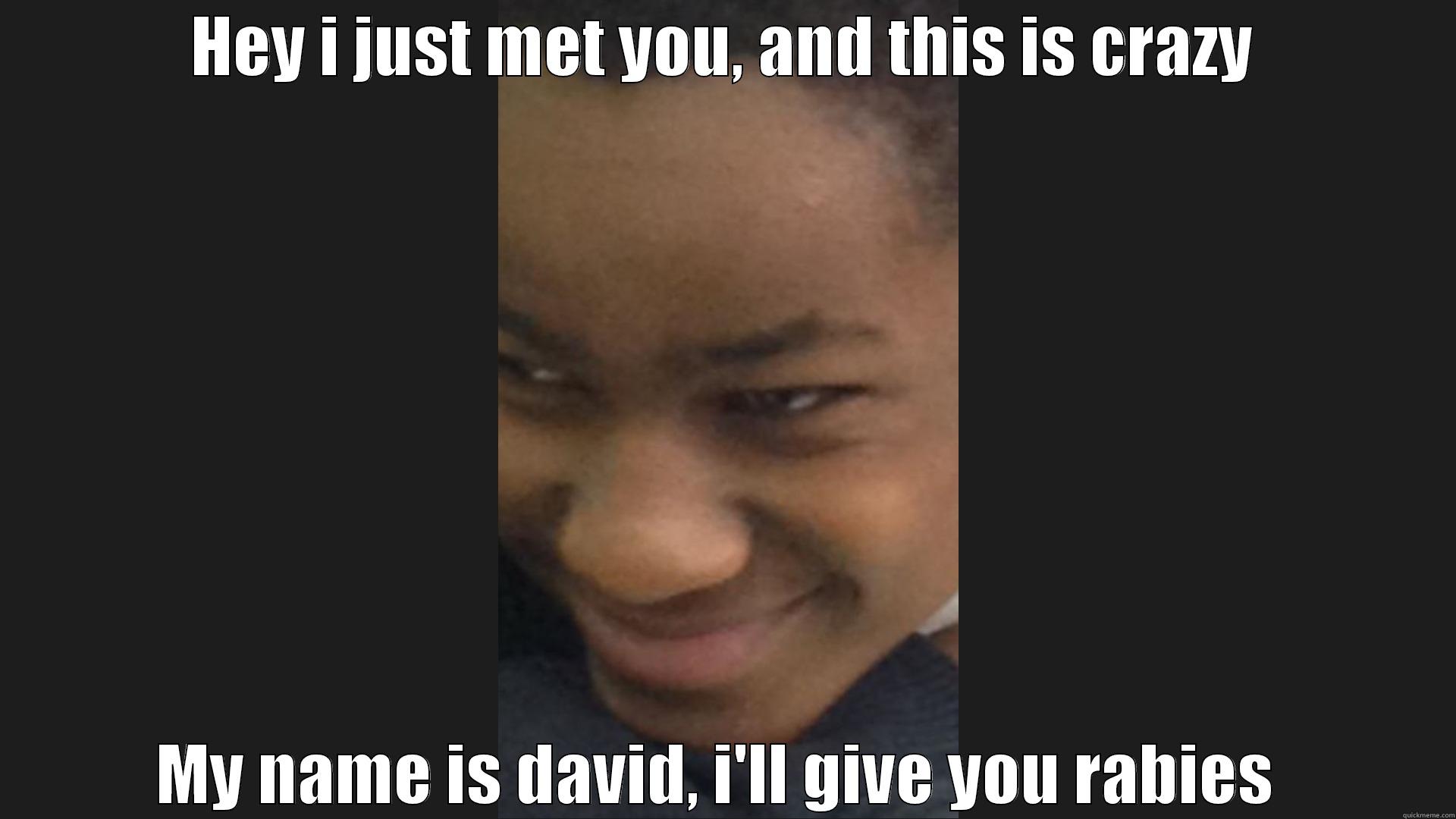 David Meme XD - HEY I JUST MET YOU, AND THIS IS CRAZY MY NAME IS DAVID, I'LL GIVE YOU RABIES  Misc