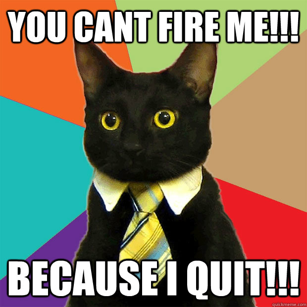 you cant fire me!!! because i quit!!! - you cant fire me!!! because i quit!!!  Business Cat