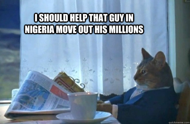 I should help that guy in Nigeria move out his millions  Sophisticated Cat
