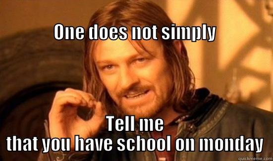                                                                        ONE DOES NOT SIMPLY TELL ME THAT YOU HAVE SCHOOL ON MONDAY Boromir