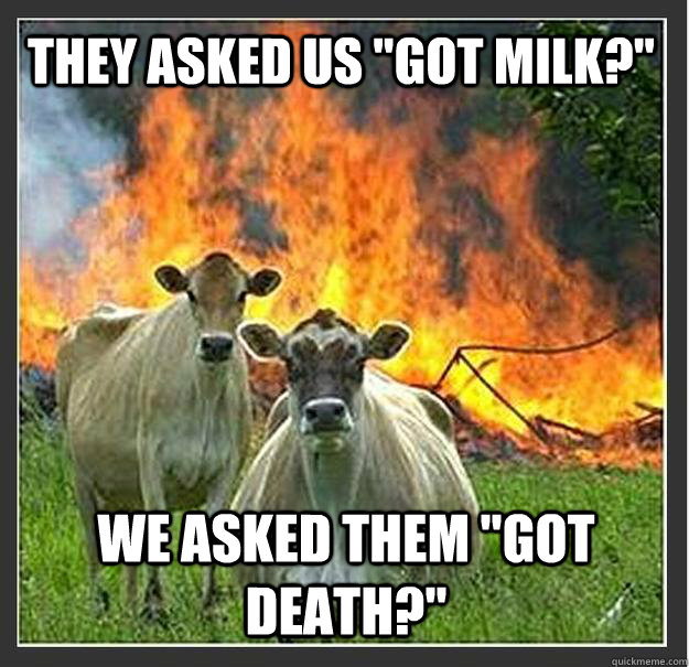 They asked us 
