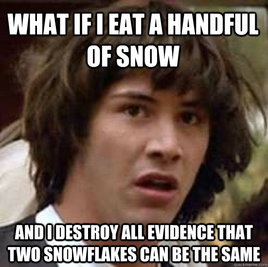 what if i eat a handful of snow and i destroy all evidence that two snowflakes can be the same  conspiracy keanu