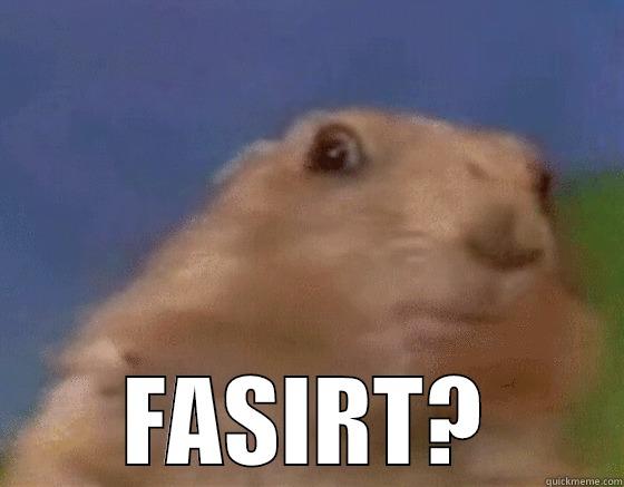 fasirt mokus -  FASIRT? Misc