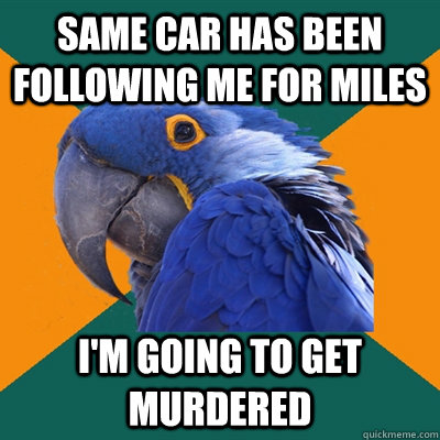 Same car has been following me for miles I'm going to get murdered  Paranoid Parrot