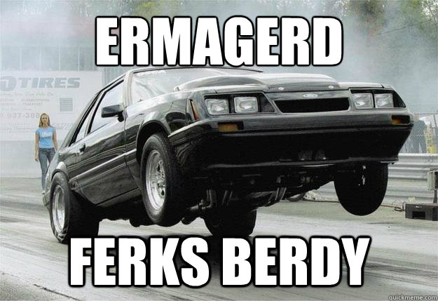 ERMAGERD FERKS BERDY  fox body