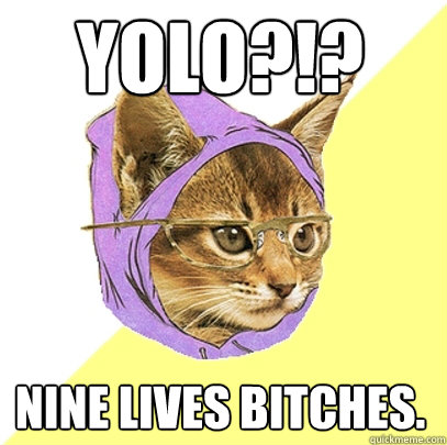 YOLO?!? Nine Lives Bitches.  Hipster Kitty