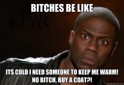 Bitches be like its cold i need someone to keep me warm! no bitch, buy a coat?! - Bitches be like its cold i need someone to keep me warm! no bitch, buy a coat?!  Kevin Hart