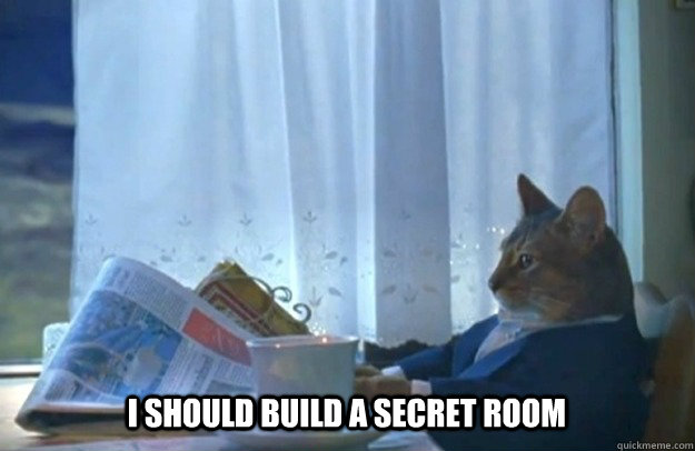 I SHOULD BUILD A SECRET ROOM  Sophisticated Cat