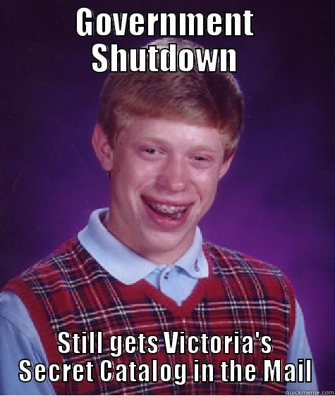 GOVERNMENT SHUTDOWN STILL GETS VICTORIA'S SECRET CATALOG IN THE MAIL Bad Luck Brian