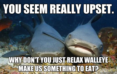 You seem really upset. Why don't you just relax walleye make us something to eat?  Compassionate Shark Friend