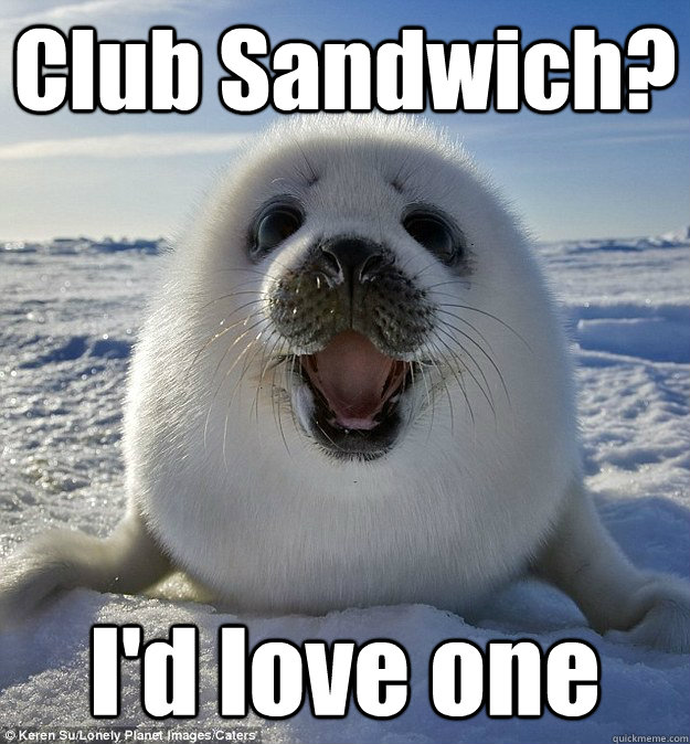 Club Sandwich? I'd love one  Easily Pleased Seal