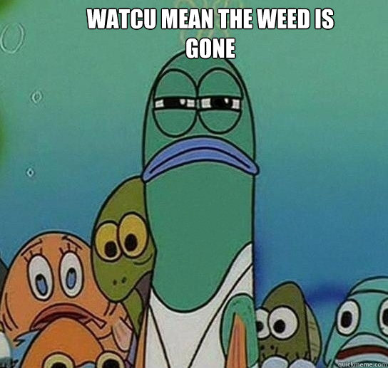 watcu mean the weed is gone - watcu mean the weed is gone  Serious fish SpongeBob